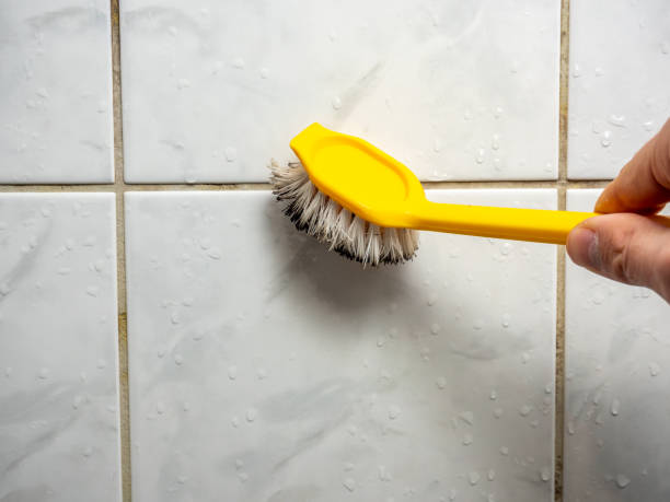 Best Fast Mold Removal  in Wellston, OH