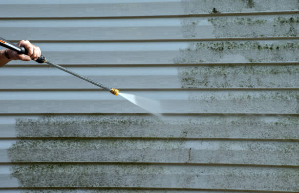 Mold Removal and Inspection in Wellston, OH