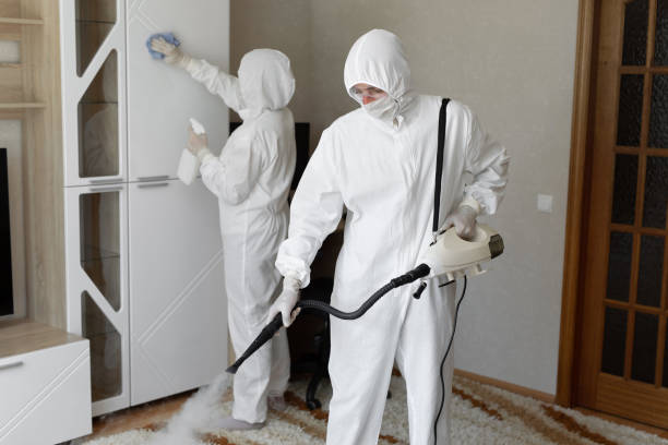 Best Local Mold Removal Service  in Wellston, OH