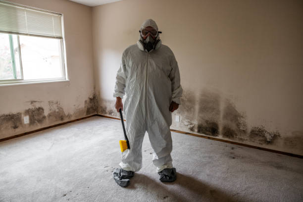 Best Commercial Mold Removal  in Wellston, OH